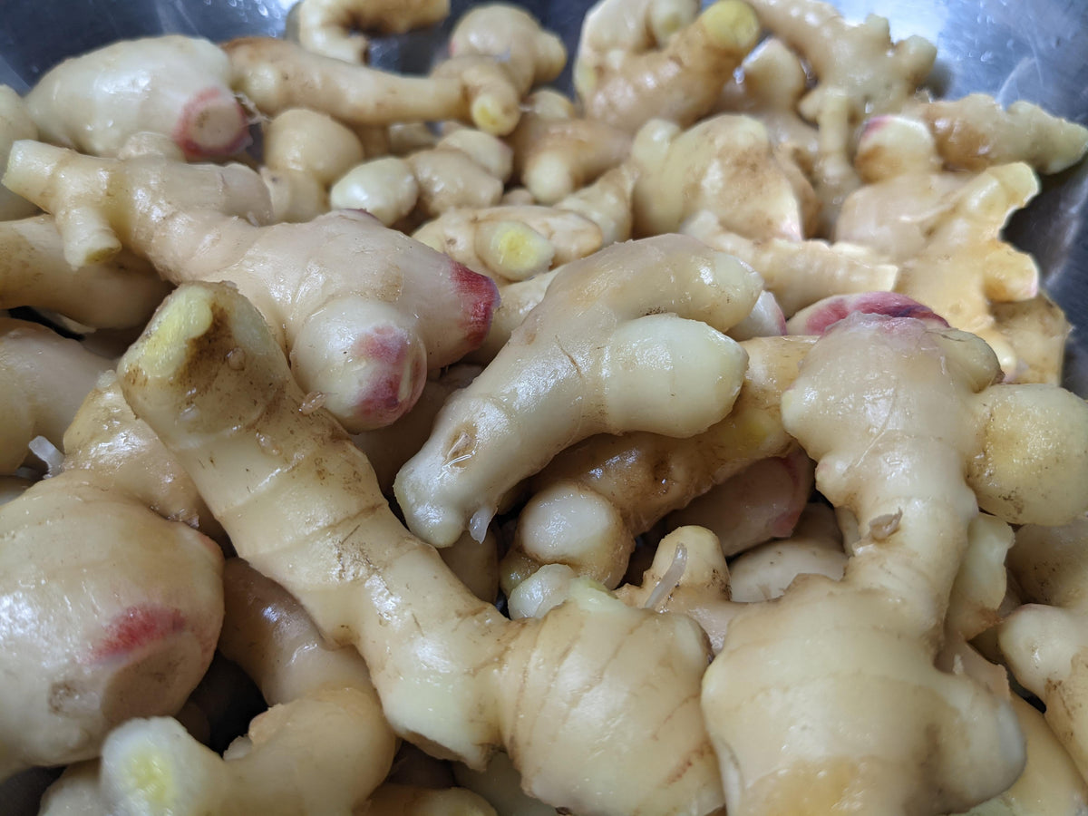 Jasmine 囲い生姜 20kg 農薬肥料栽培期間中不使用 生姜ジャム（栽培期間中：農薬・化学肥料不使用） – THE CRAFT